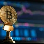 CryptoMatex Review - Top Reasons To Choose This Broker