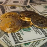 Bitcoin Family Loses Confidence In Centralized Crypto Exchanges