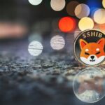 Thousands Of Retailers Welcome SHIB Because Of A New Agreement