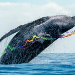 Ethereum (ETH) Whales' Pre-Airdrop Activities Unveiled